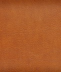 Kravet ACOUSTIC.24 Fabric
