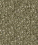 Kravet ADARA.11 Fabric