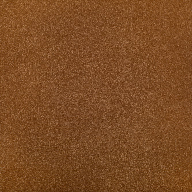 Kravet Agatha Squash Fabric