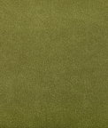 Kravet Agatha Cactus Fabric