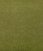 Kravet Agatha Cactus Fabric