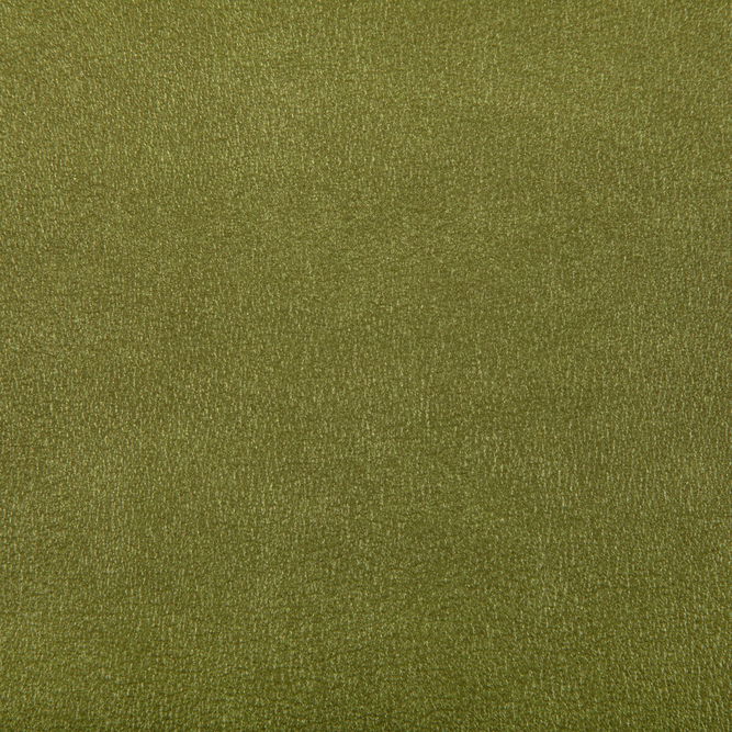 Kravet Agatha Cactus Fabric