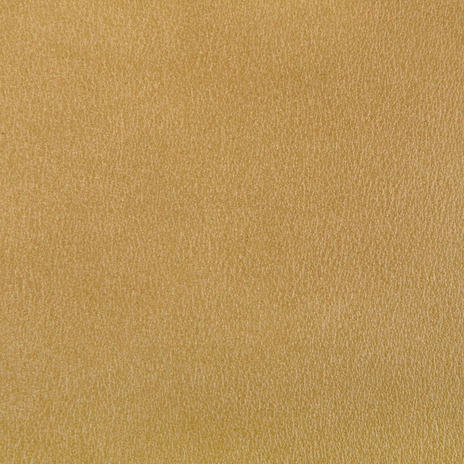 Kravet Agatha Gilt Fabric