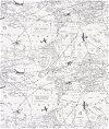 Premier Prints Air Traffic Felix/Natural