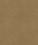 Kravet ALINA.106 Fabric
