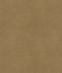 Kravet ALINA.106 Fabric