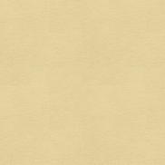 Kravet ALINA.116 Fabric