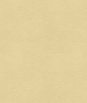 Kravet ALINA.116 Fabric