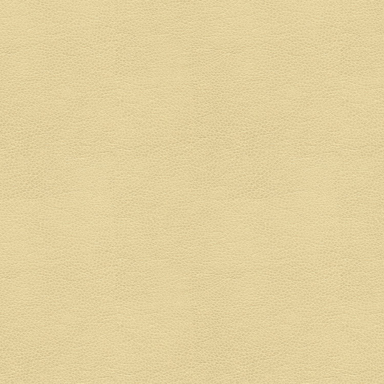 Kravet ALINA.116 Fabric
