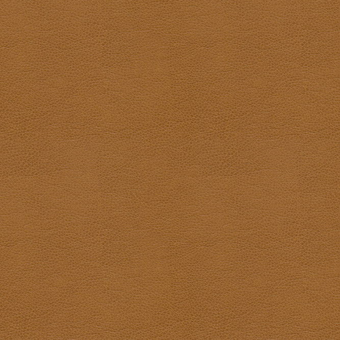 Kravet ALINA.16 Fabric