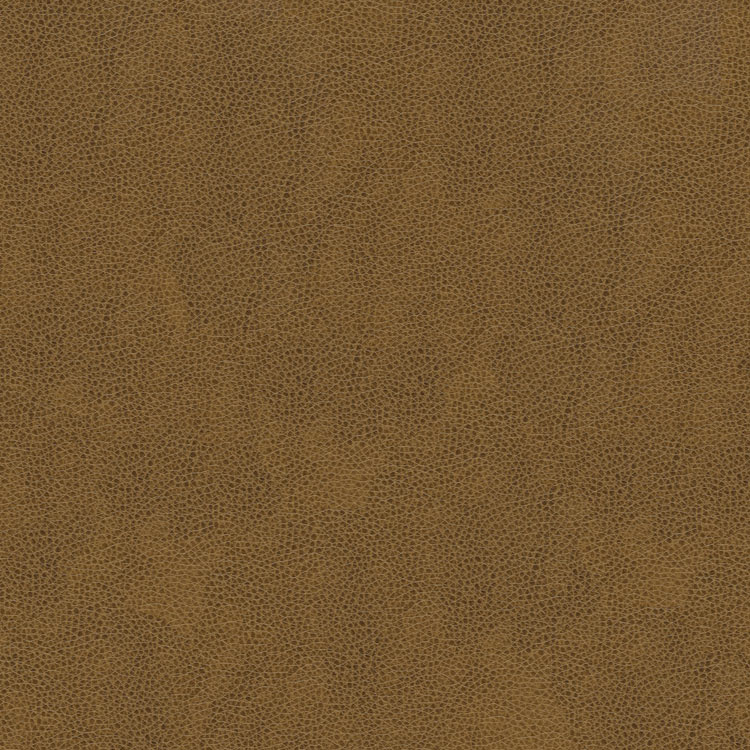 Kravet ALINA.616 Fabric