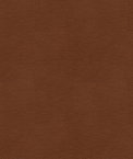 Kravet ALINA.6 Fabric