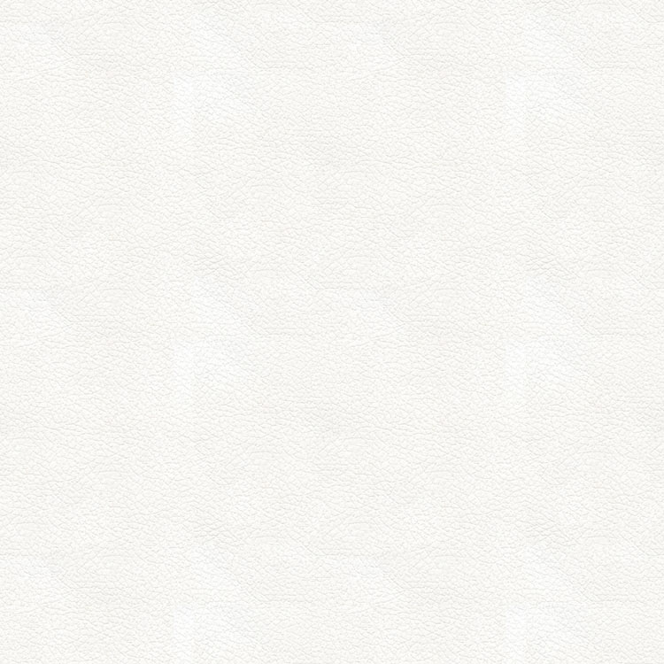 Kravet ALI.101 Fabric