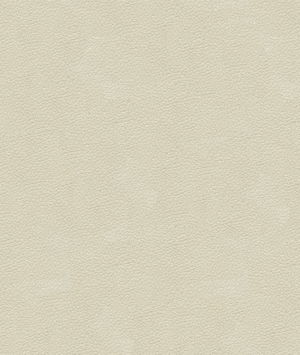 Kravet ALI.111 Fabric