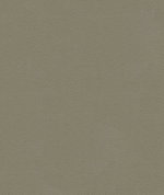 Kravet ALI.11
