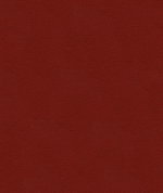 Kravet ALI.19