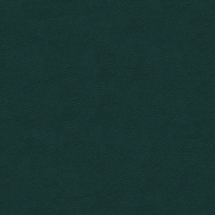 Kravet ALI.53 Fabric