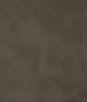 Kravet Alum.11.0 Fabric