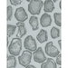 Kravet Holland Charcoal Fabric