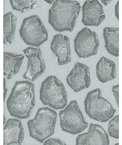Kravet Holland Charcoal Fabric