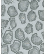 Kravet Holland Charcoal