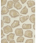 Kravet Holland Natural Fabric