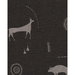 Kravet Prairie Charcoal Fabric