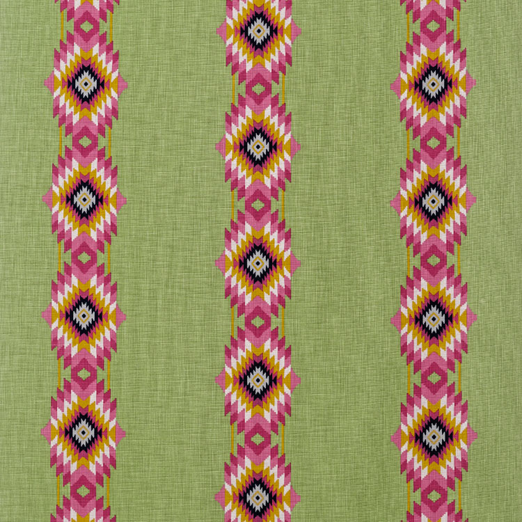 Kravet Cruz Cactus Fabric