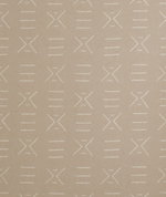 Kravet Kongo Plaster