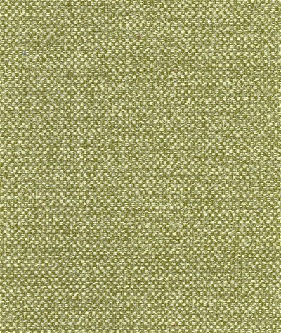 Kravet Yosemite Meadow Fabric