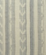 Kravet Indus Cloud