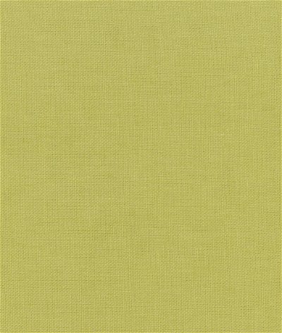 Kravet Beagle Lizard Fabric