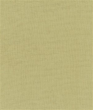 Kravet Beagle Firefly Fabric