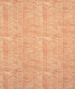 Kravet Delta Outdoor Lava