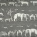 Kravet Kingdom Outdoor Rock Fabric