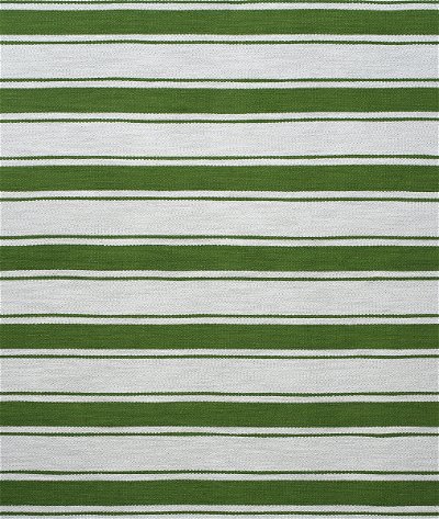 Kravet Mountain Stripe Meadow Fabric