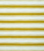 Kravet Mountain Stripe Eagle Fabric
