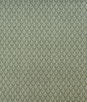 Kravet Bud Fennel Fabric