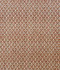 Kravet Bud Orange Fabric