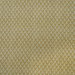 Kravet Bud Honey Fabric
