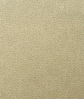 Kravet Pollen Honey Fabric