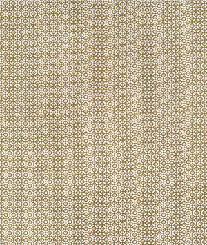Kravet Audley Outdoor Ochre Fabric