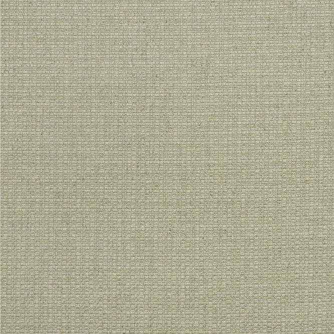 Kravet Birch Stone Fabric