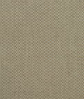 Kravet Birch Autumn Fabric