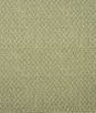 Kravet Nest Lichen Fabric