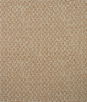 Kravet Nest Autumn Fabric