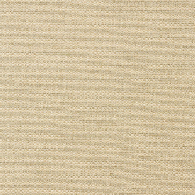 Kravet Tender Rope Fabric