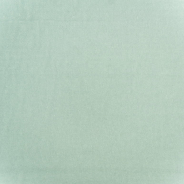 Kravet Medici Chemise Fabric