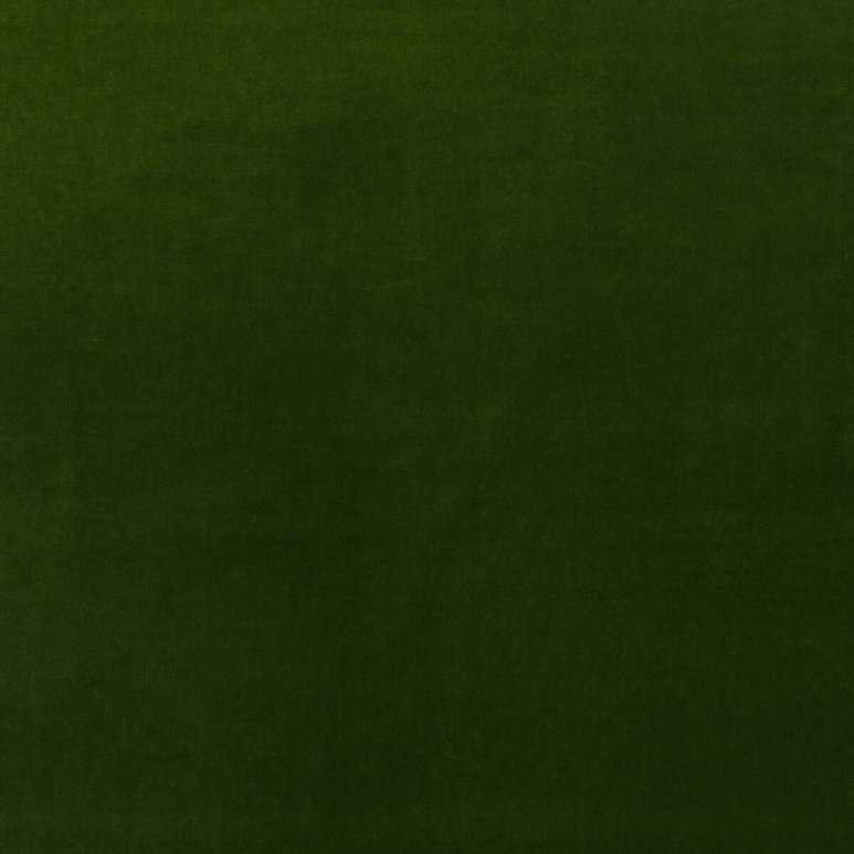 Kravet Medici Ivy Fabric