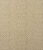 Kravet Otter Stone Fabric